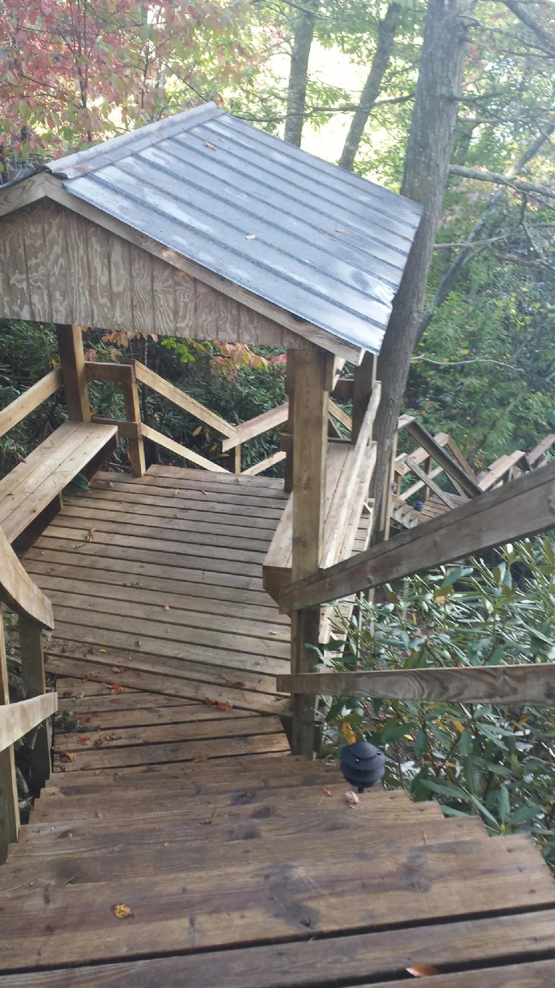 Metal roofed shelter over wooden steps on a wooded walkway — Skylight Repair & Installation work by our crew in Monetta