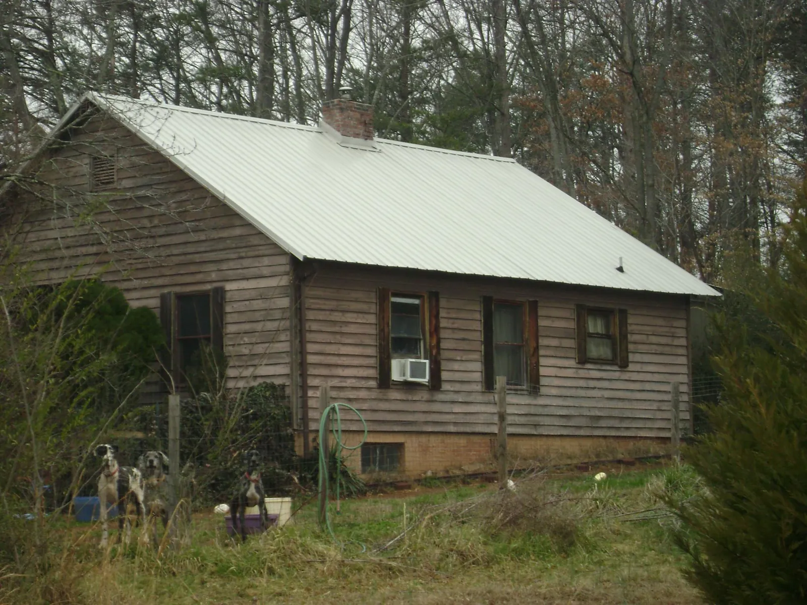 White metal roof on an old wood sided farmhouse, from a Asphalt Shingle Roof Repair job in Monetta